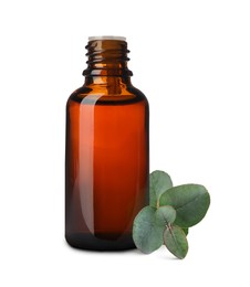 Image of Bottle of eucalyptus essential oil and green leaves on white background