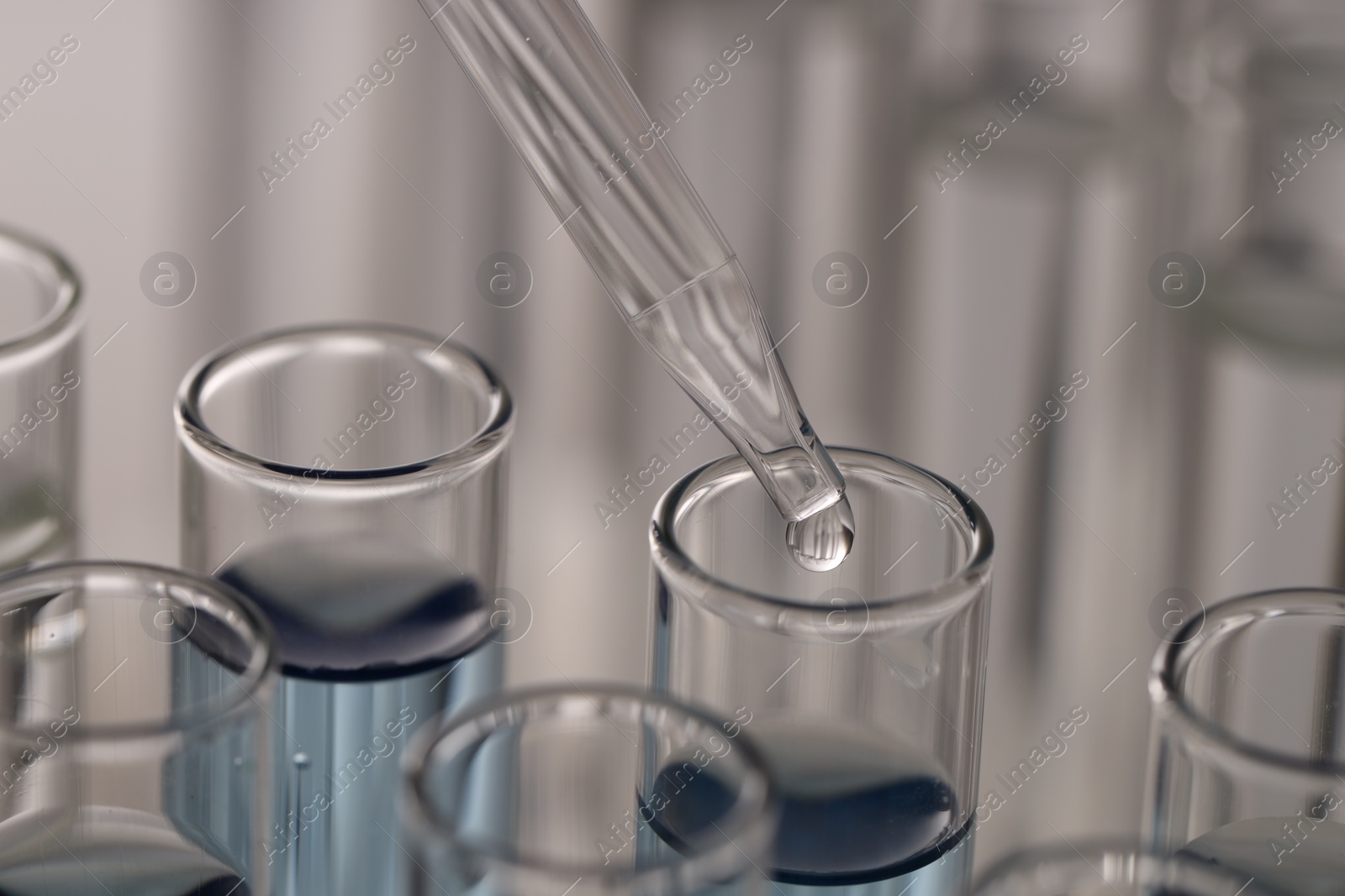 Photo of Dripping liquid from pipette into test tube on light background, closeup