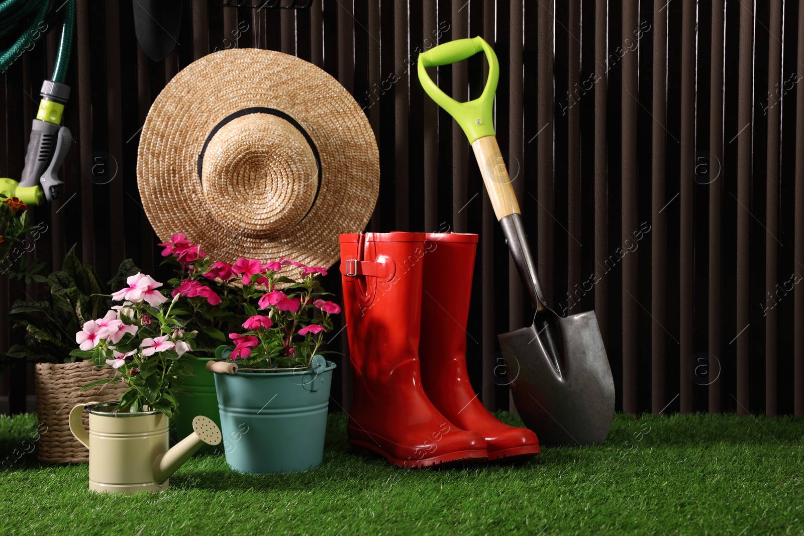 Photo of Beautiful plants, gardening tools and accessories on green grass near wood slat wall