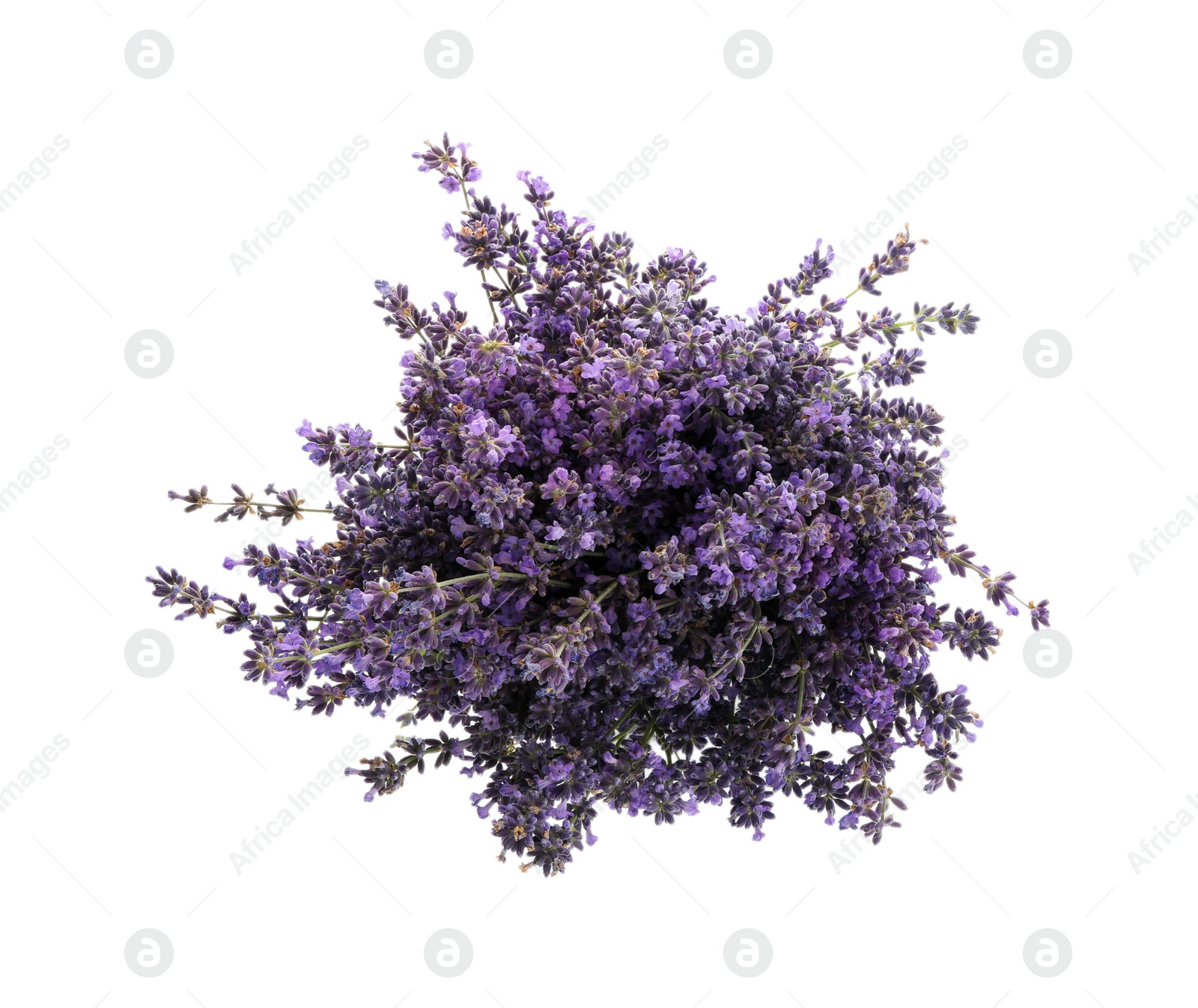 Photo of Beautiful fresh lavender bouquet isolated on white, top view