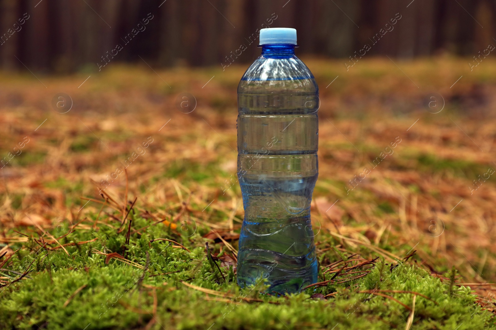 Photo of Plastic bottle of fresh water on ground in forest