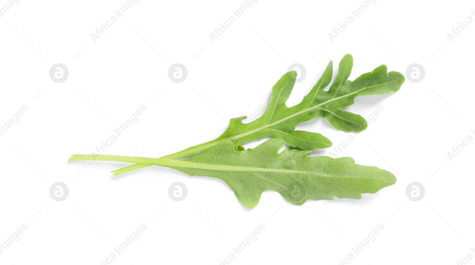 Photo of Leaves of fresh arugula isolated on white, top view