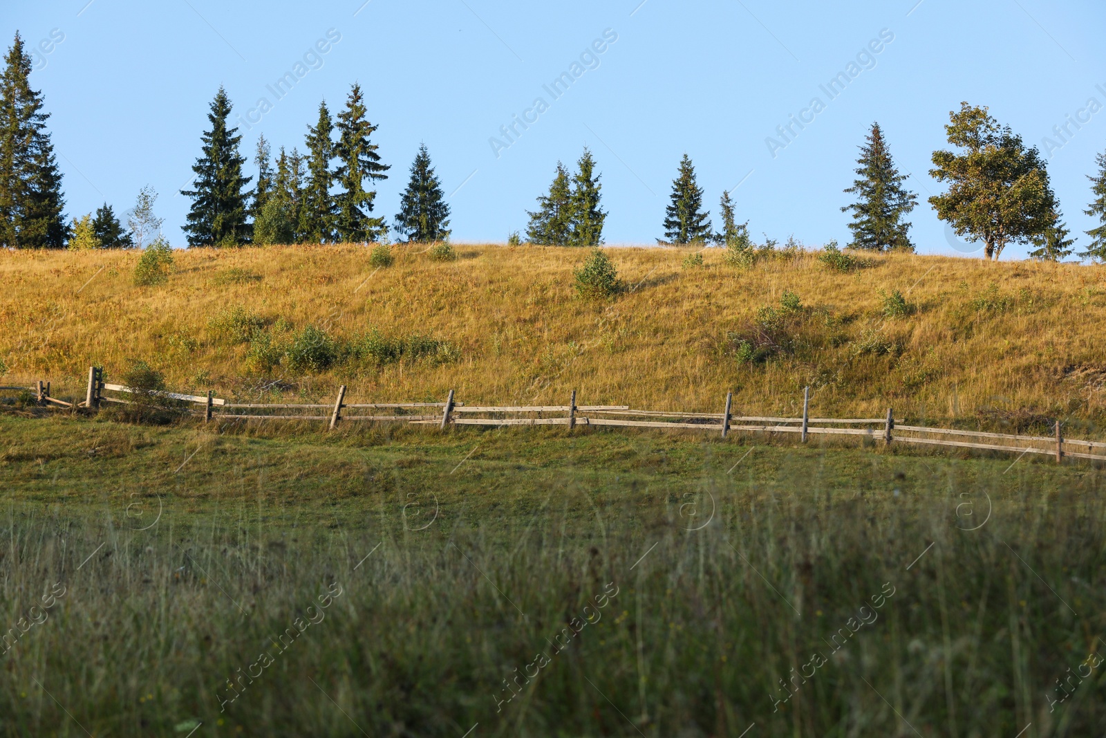 Photo of Beautiful view with wooden fence and different trees outdoors