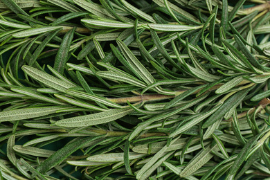 Fresh organic rosemary as background, top view