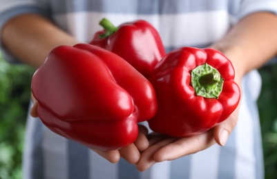 Photo of Farmer holding fresh ripe bell peppers, closeup view