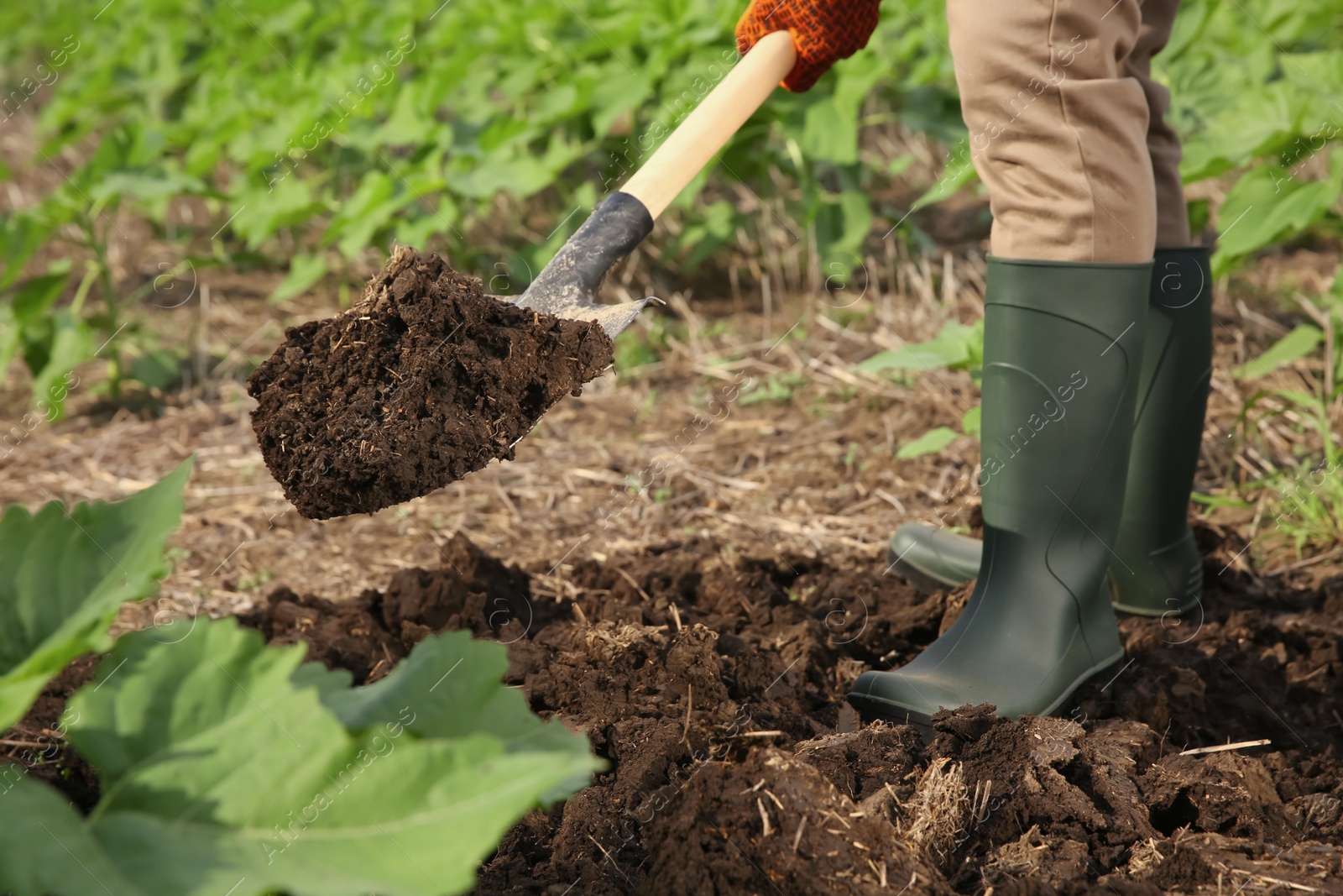 Photo of Worker digging soil with shovel outdoors, closeup