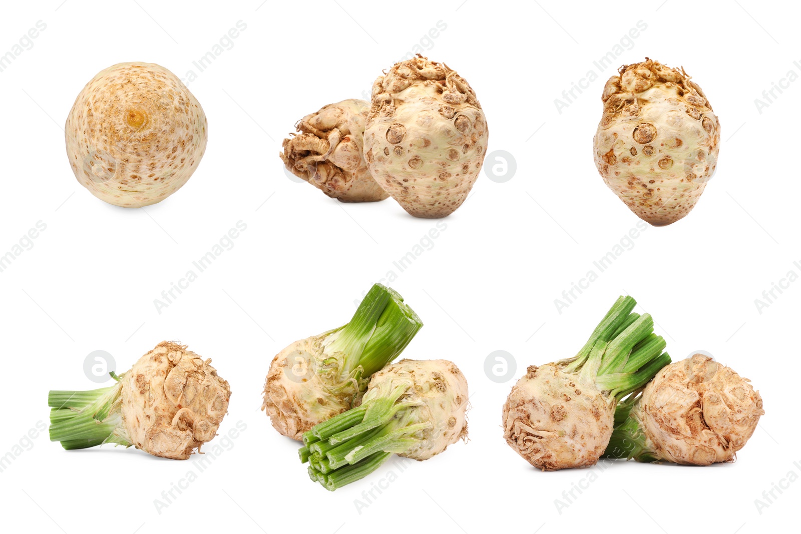 Image of Fresh celery roots isolated on white, collage design