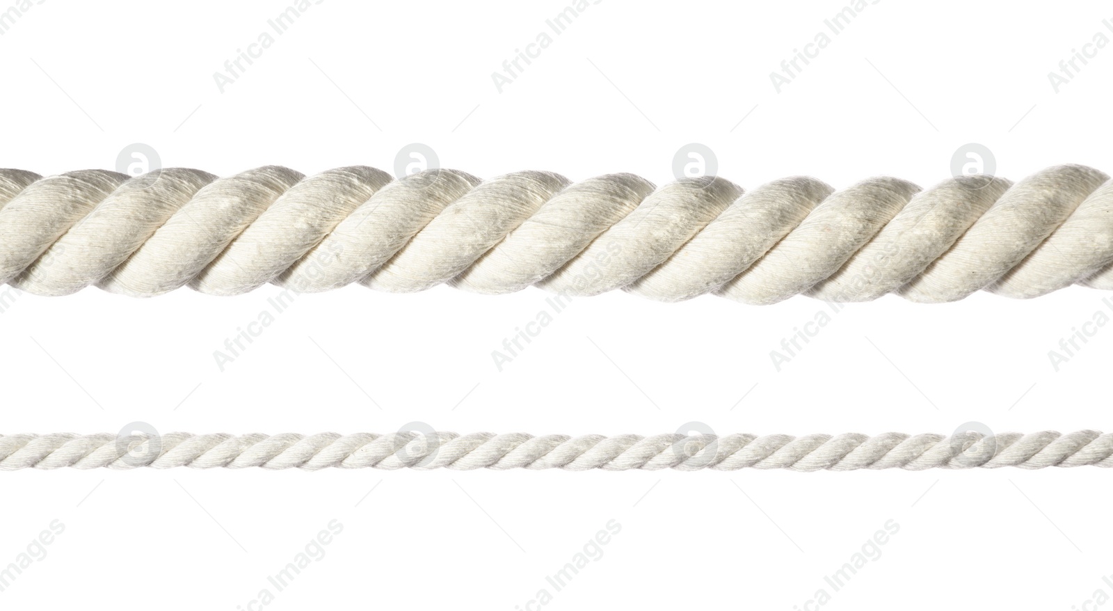 Photo of Two hemp ropes stretched isolated on white