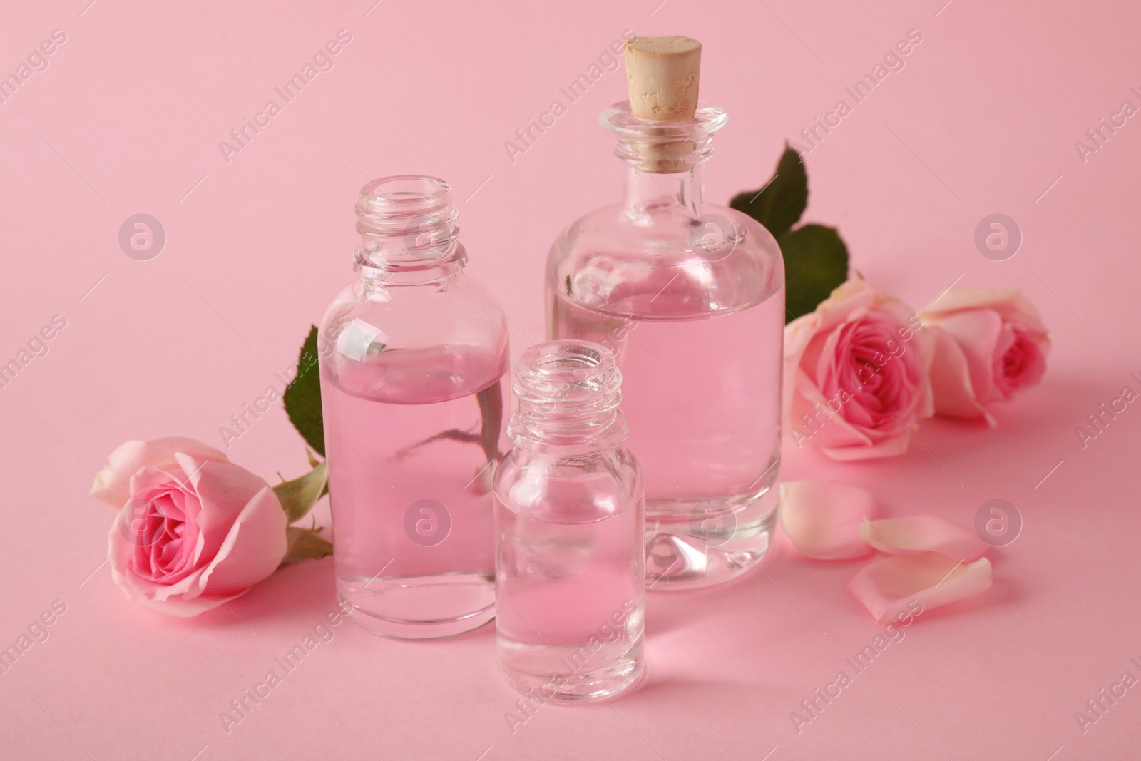 Photo of Bottles of essential oil and roses on pink background