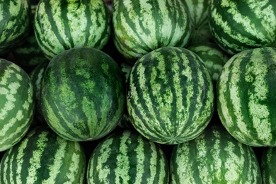 Delicious ripe whole watermelons as background. Sweet berry