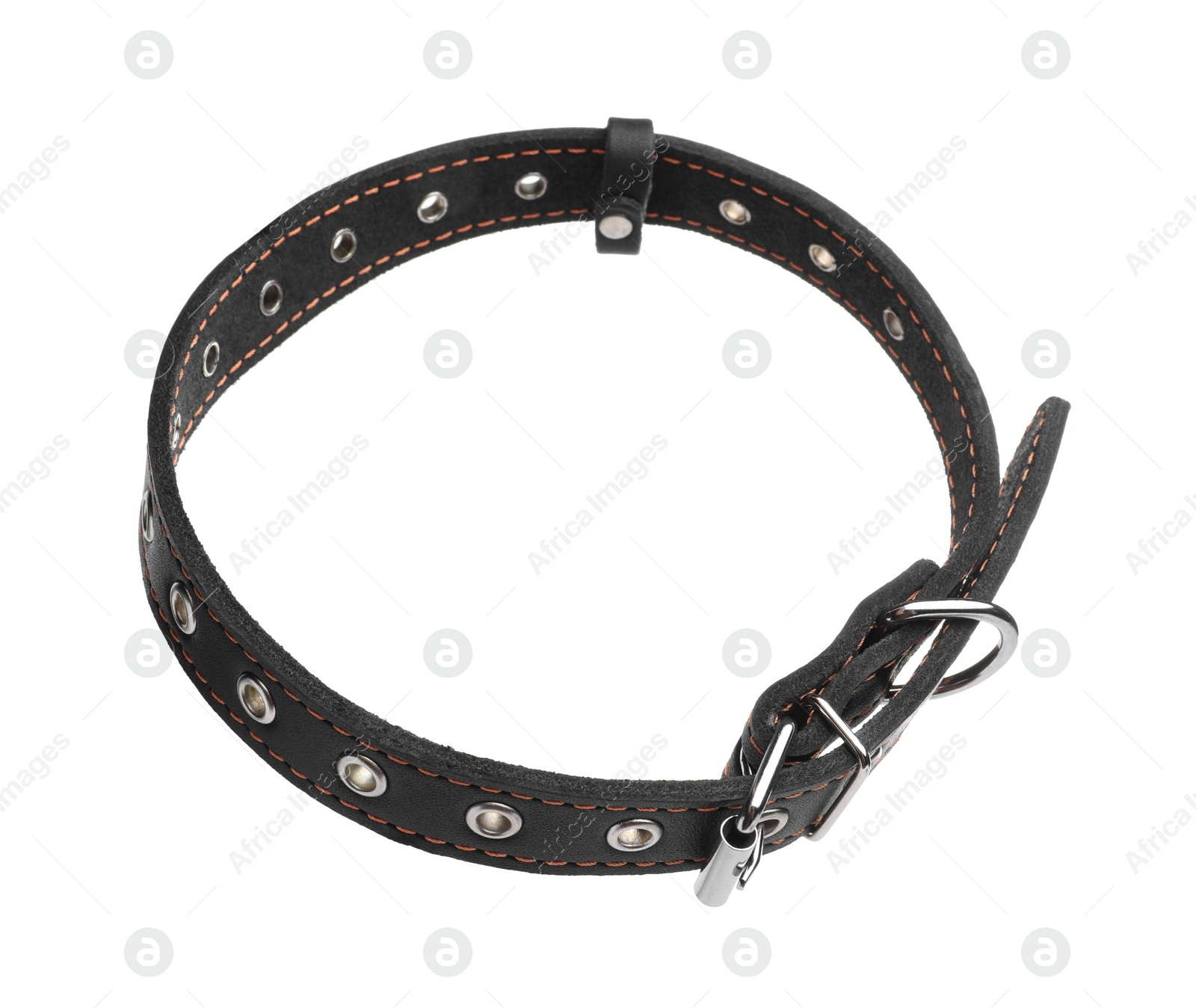 Photo of Black leather dog collar isolated on white