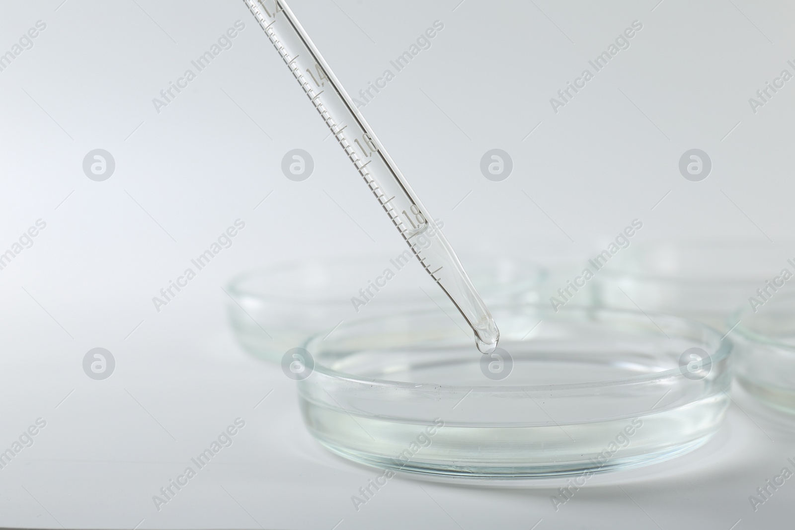 Photo of Dripping liquid from pipette into petri dish on light background, closeup