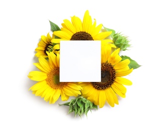 Photo of Beautiful bright sunflowers and card on white background