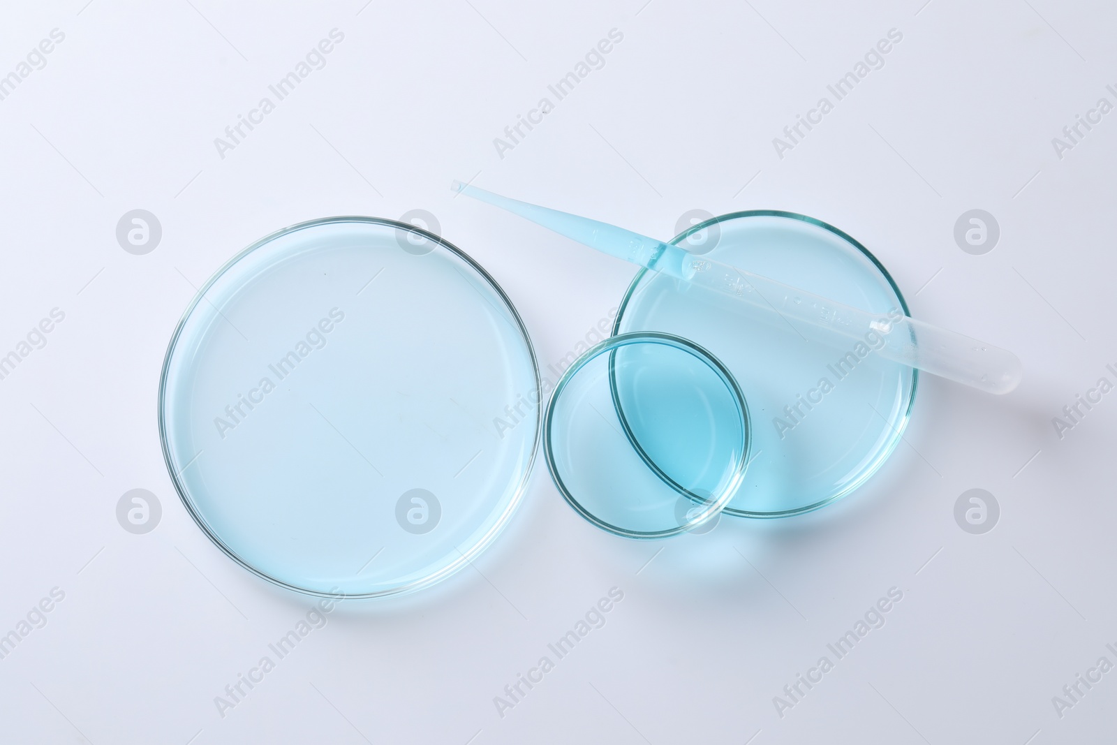 Photo of Transfer pipette and petri dishes on white table, flat lay