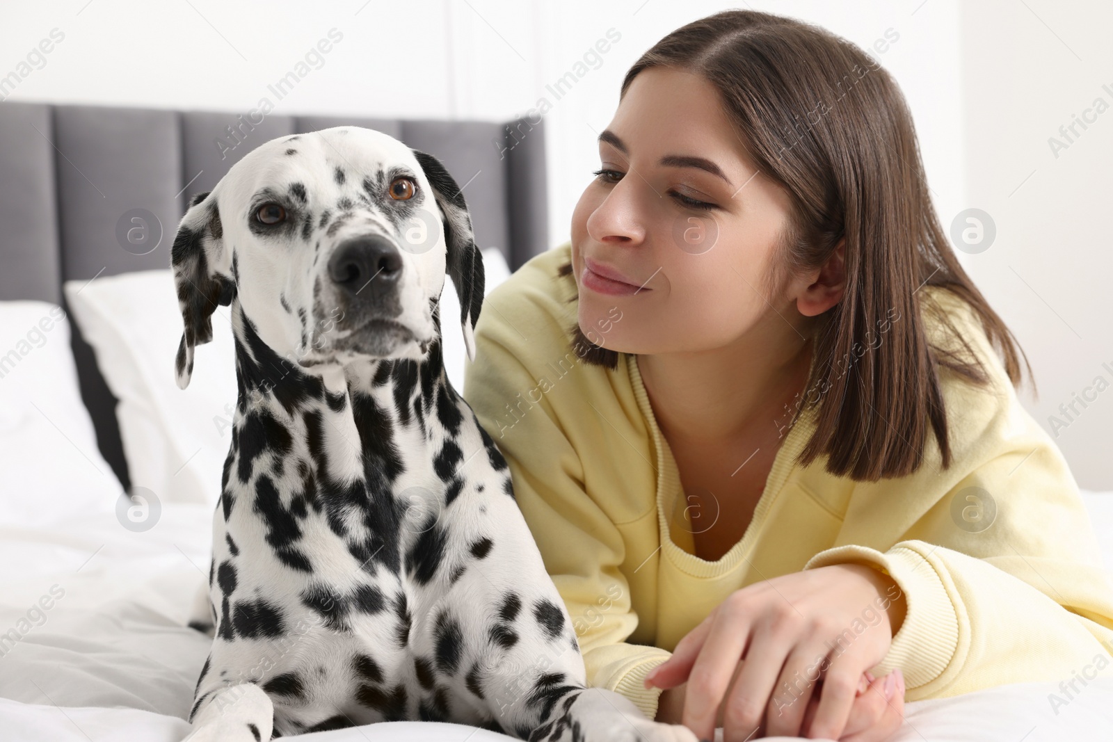 Photo of Beautiful woman with her adorable Dalmatian dog on bed at home. Lovely pet