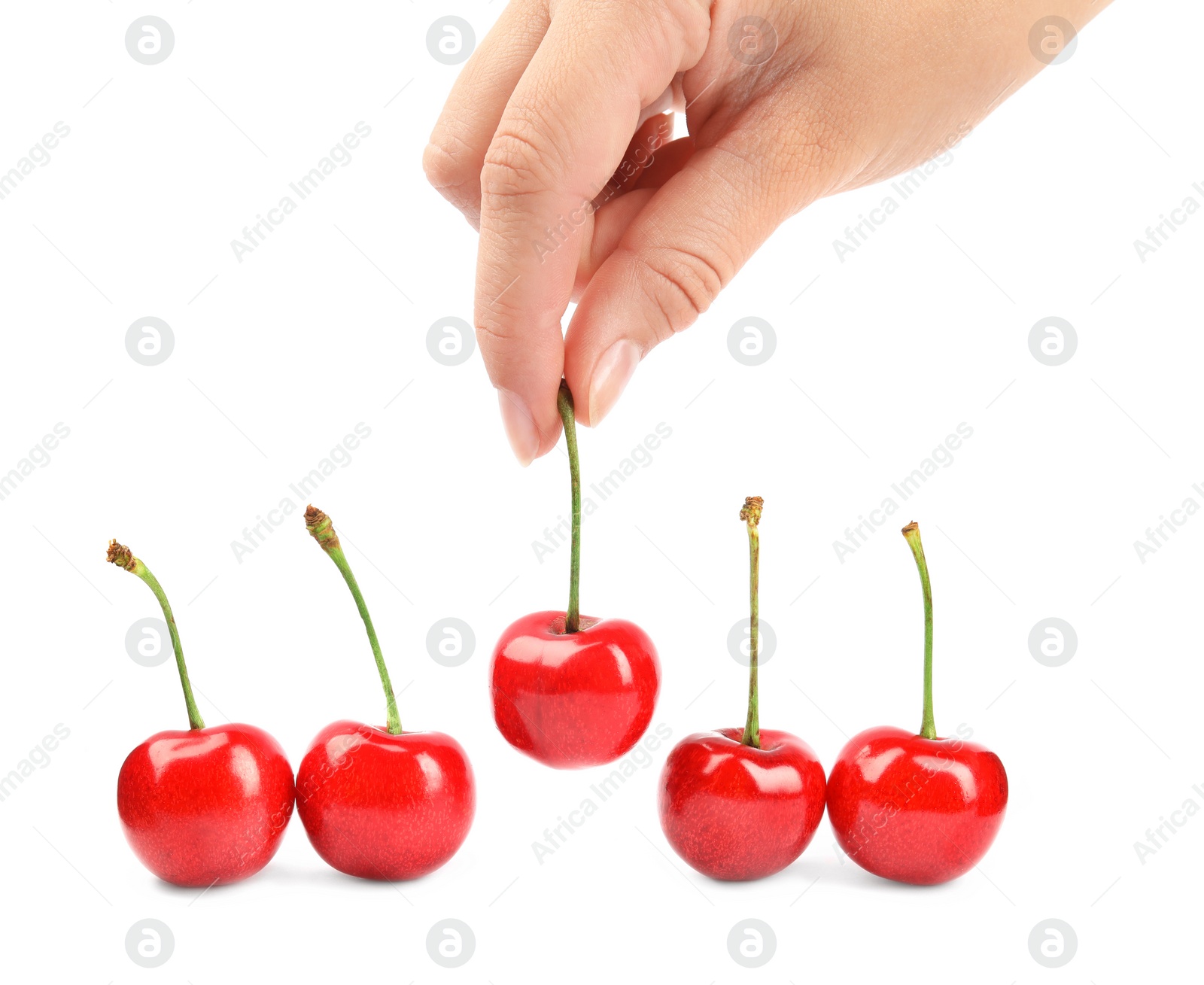 Photo of Woman holding ripe sweet cherry on white background, closeup