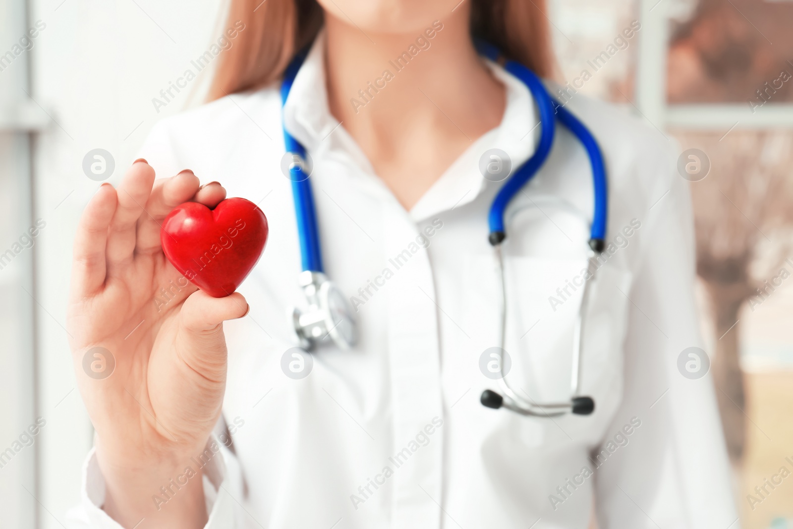 Photo of Doctor holding small red heart, closeup. Heart attack concept