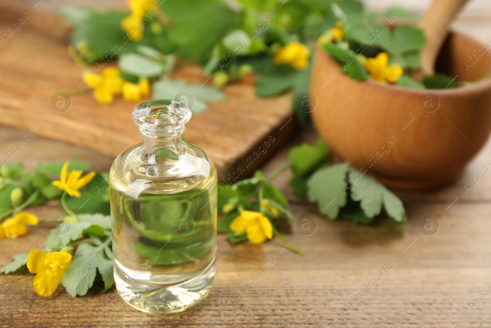 Photo of Bottle of natural celandine oil near flowers on wooden table, closeup. Space for text