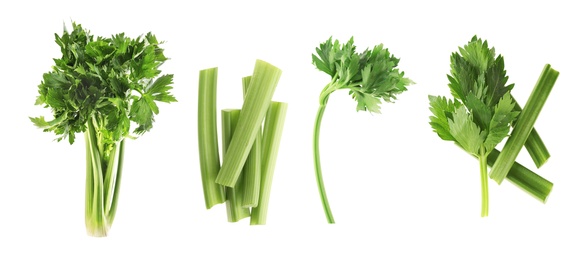 Image of Collage with fresh green celery on white background. Banner design 