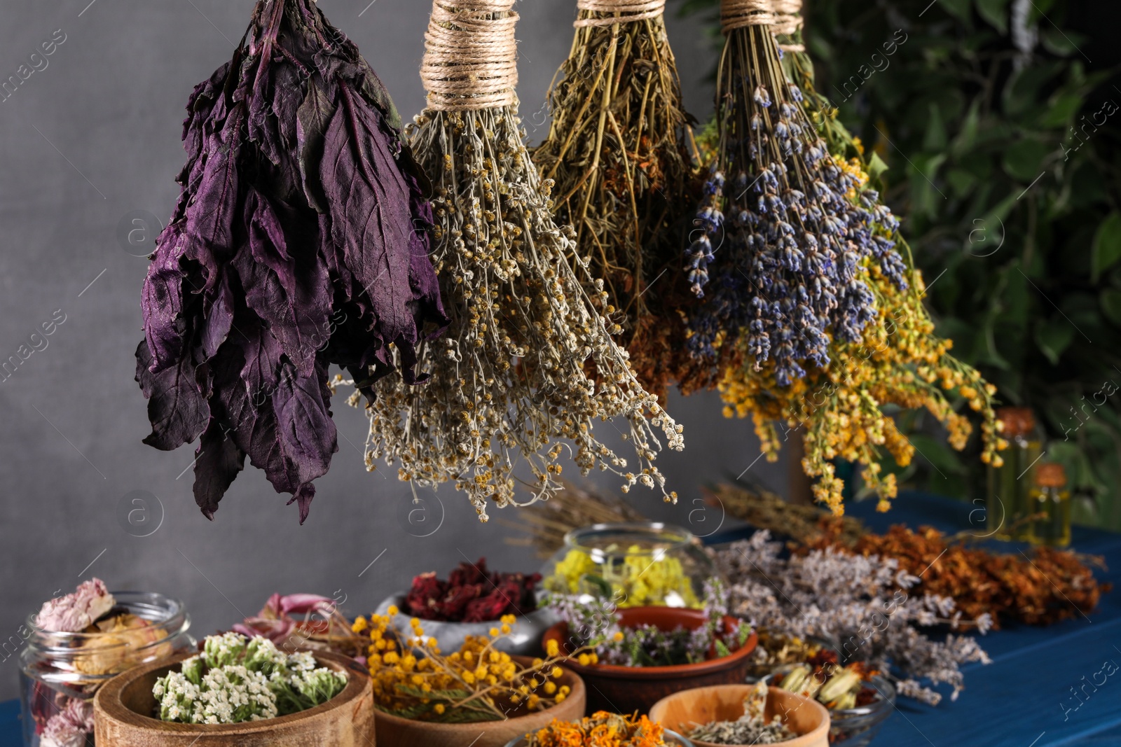 Photo of Many different herbs and flowers on grey background, closeup