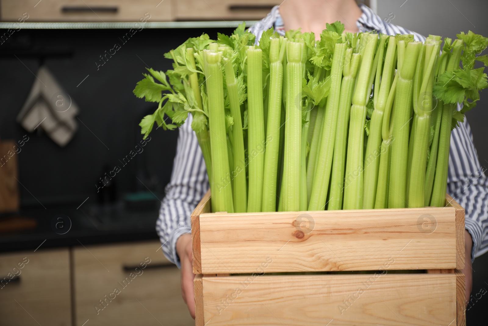 Photo of Woman holding crate with fresh green celery in kitchen, closeup