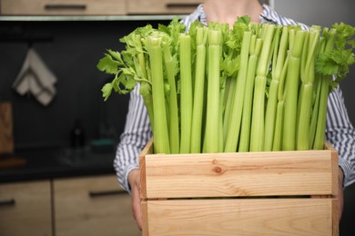 Woman holding crate with fresh green celery in kitchen, closeup