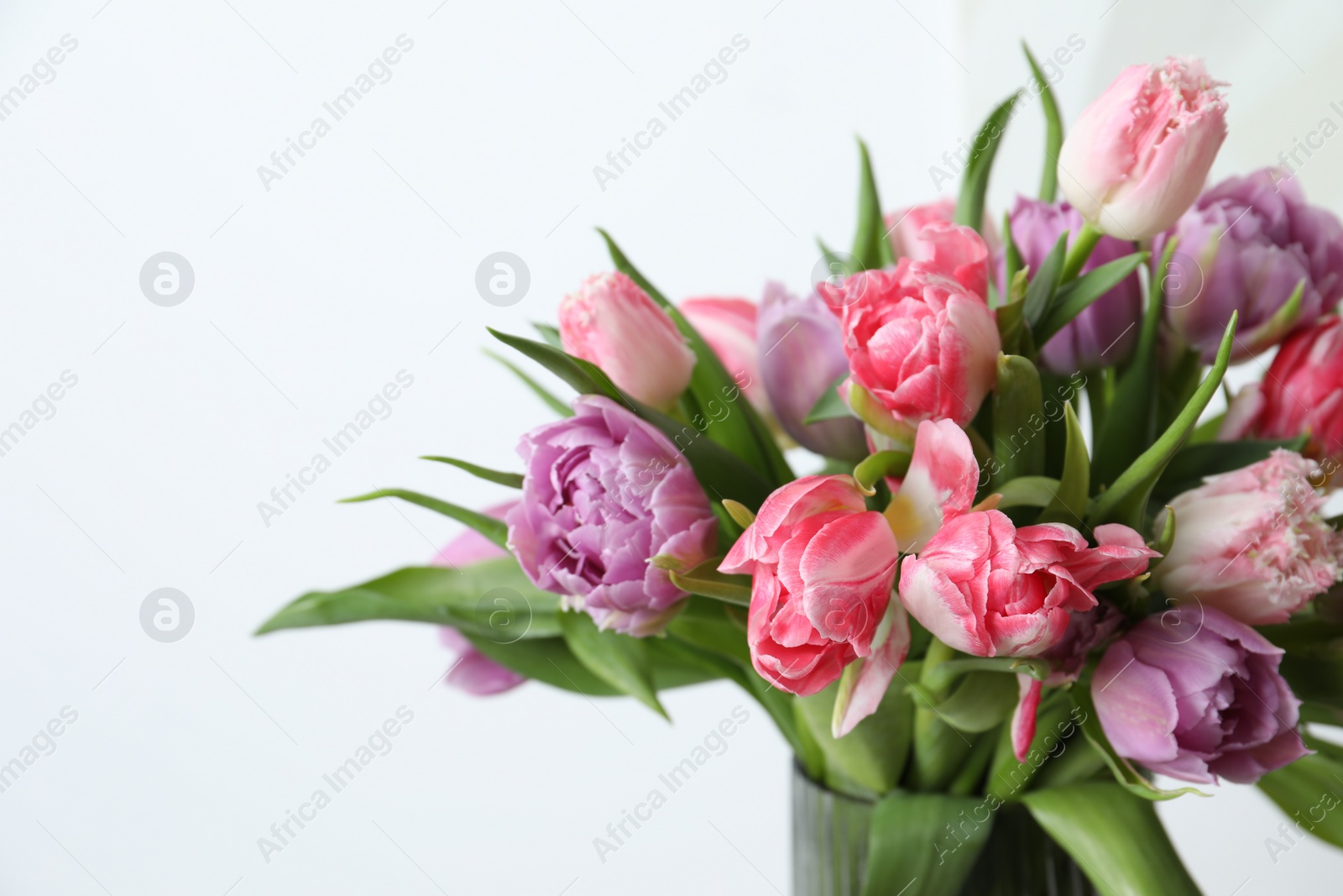 Photo of Beautiful bouquet of colorful tulip flowers against white background, closeup. Space for text