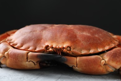 Photo of Delicious boiled crab on grey textured table, closeup