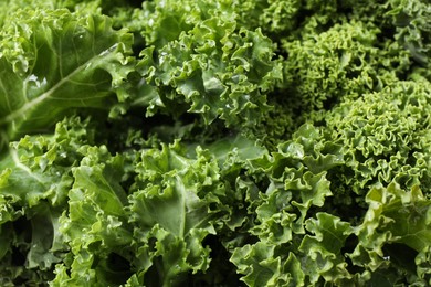 Photo of Fresh wet kale leaves as background, closeup