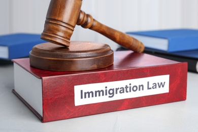 Photo of Book with words IMMIGRATION LAW and gavel on table