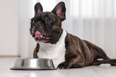 Photo of Adorable French Bulldog near bowl indoors. Lovely pet
