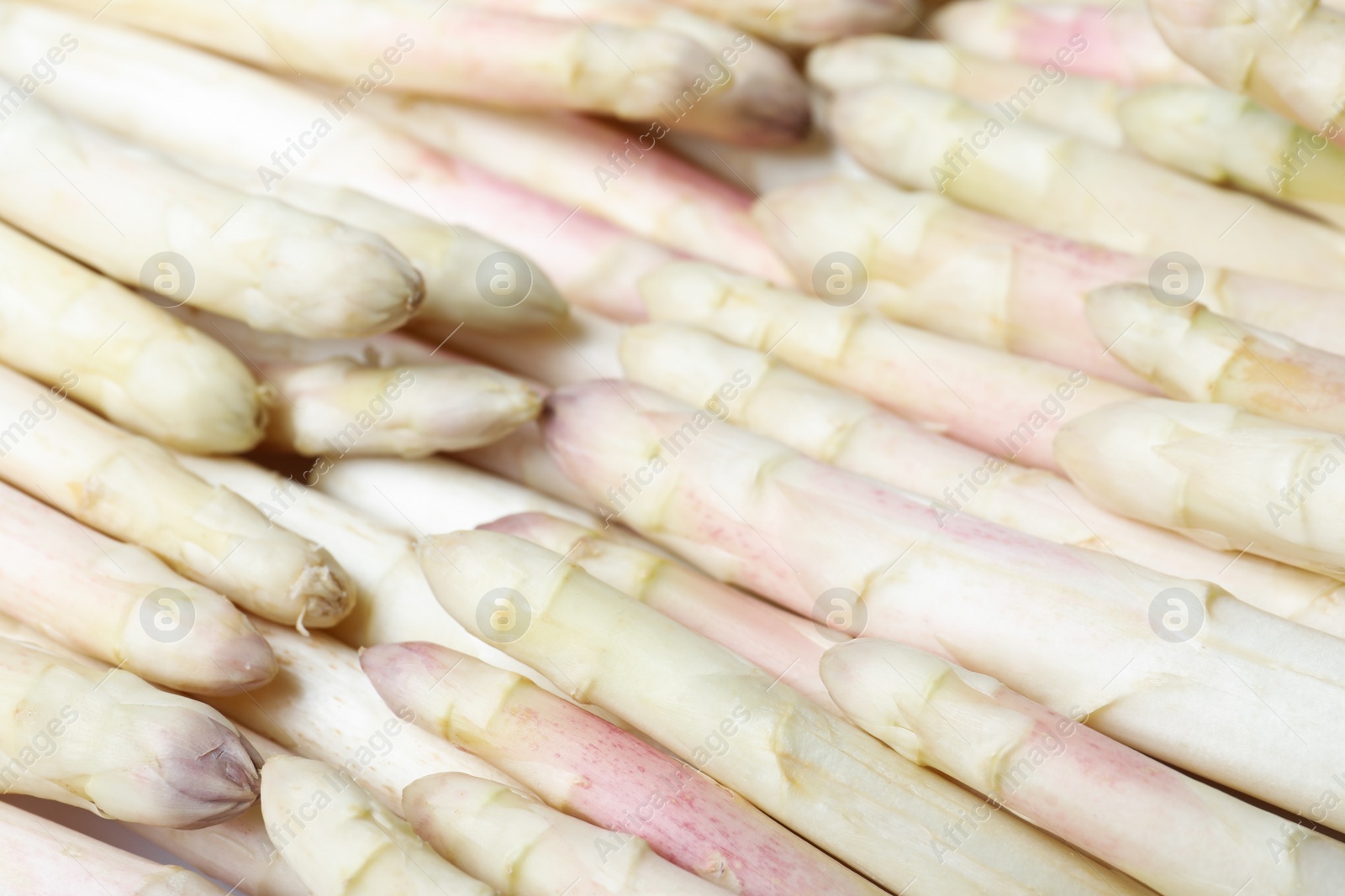 Photo of Fresh ripe white asparagus as background, closeup