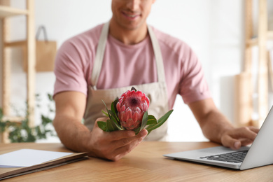 Florist with protea flower near laptop in floral store