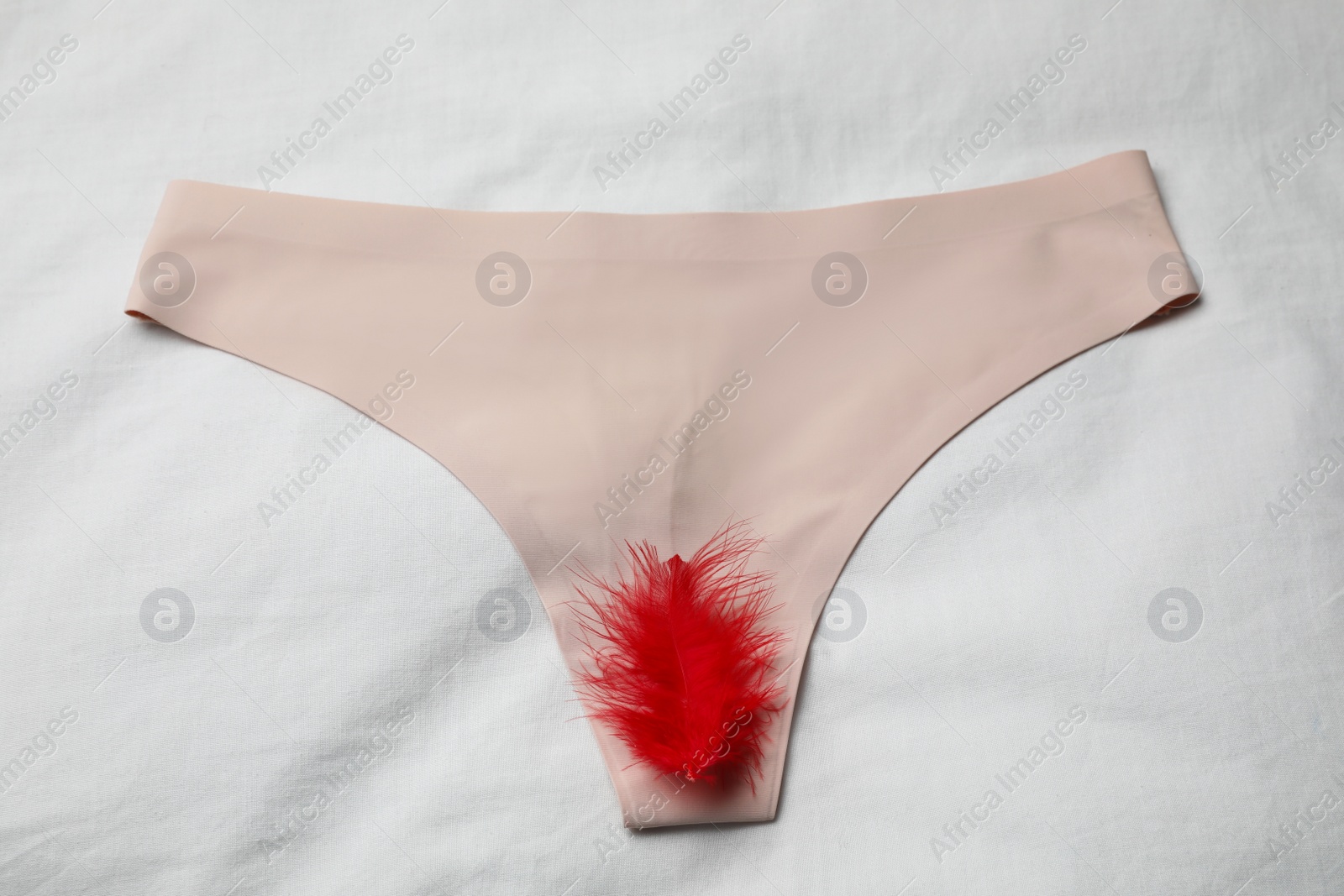 Photo of Woman's panties with red feather on white fabric, top view