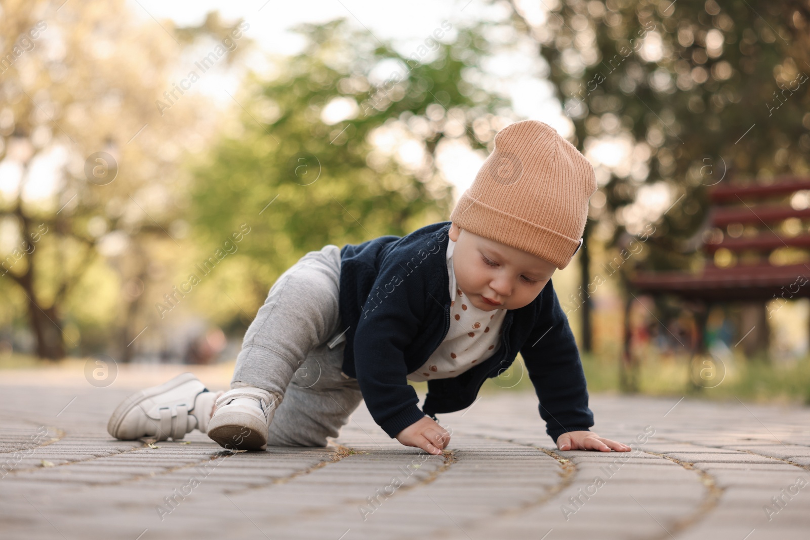 Photo of Learning to walk. Little baby crawling in park