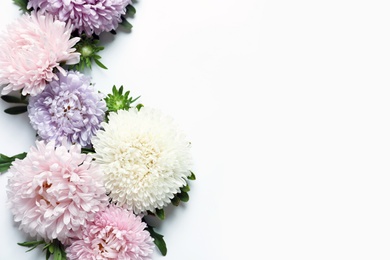 Beautiful aster flowers on white background, top view. Space for text