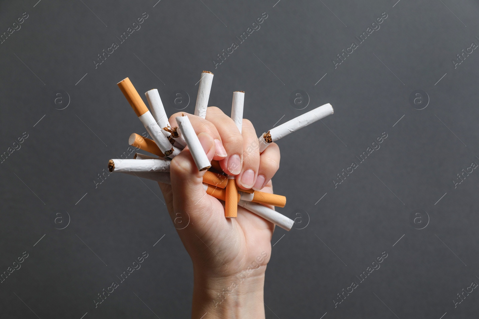 Photo of Stop smoking. Woman holding broken cigarettes on grey background, closeup