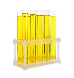 Many test tubes with yellow liquid in stand isolated on white