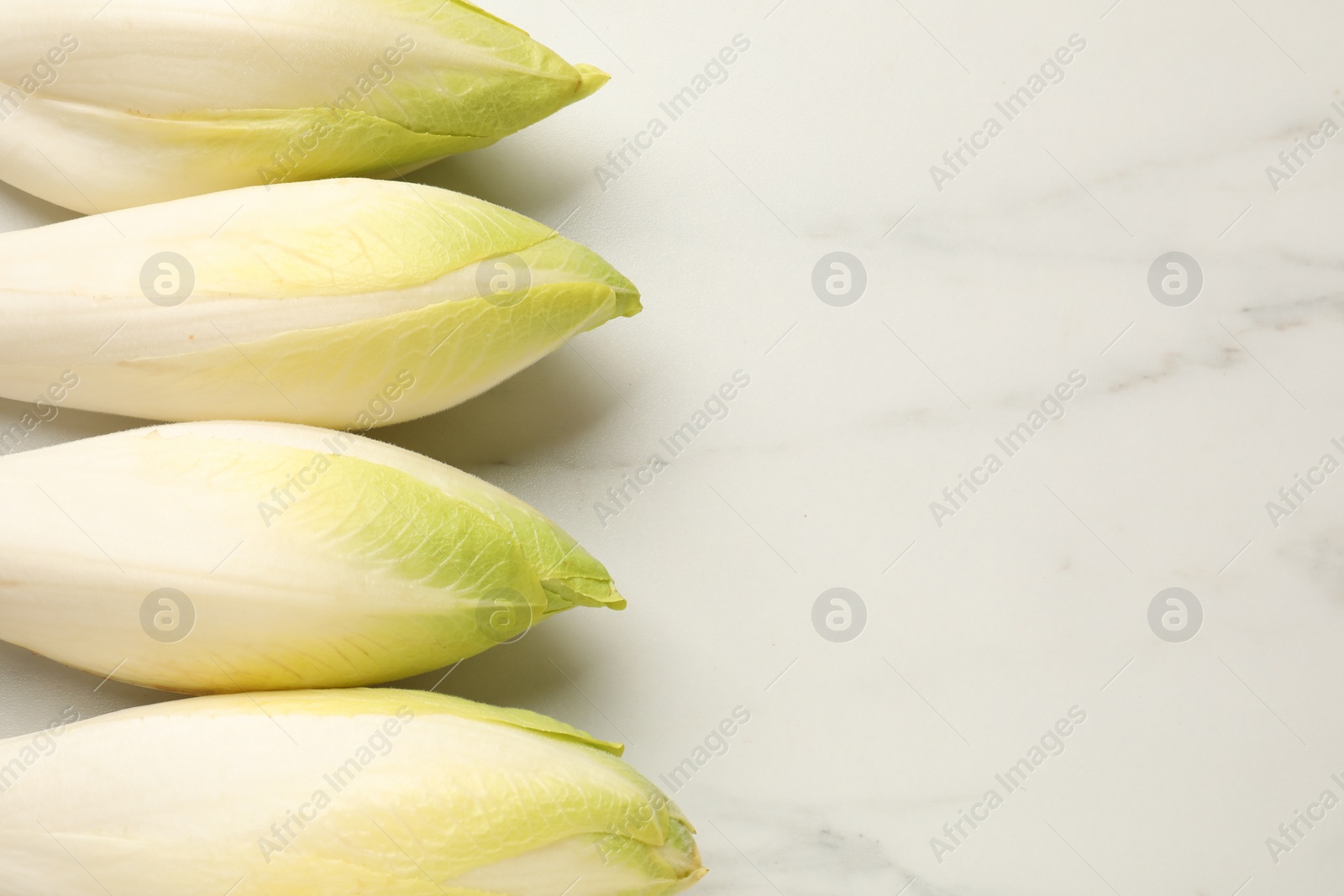 Photo of Raw ripe chicories on white marble table, top view. Space for text