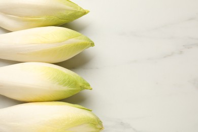 Photo of Raw ripe chicories on white marble table, top view. Space for text