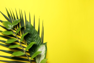 Photo of Flat lay composition with tropical leaves and space for text on color background