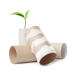 Image of Empty toilet paper rolls and plant on white background