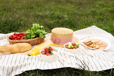 Picnic blanket with juice and food on green grass