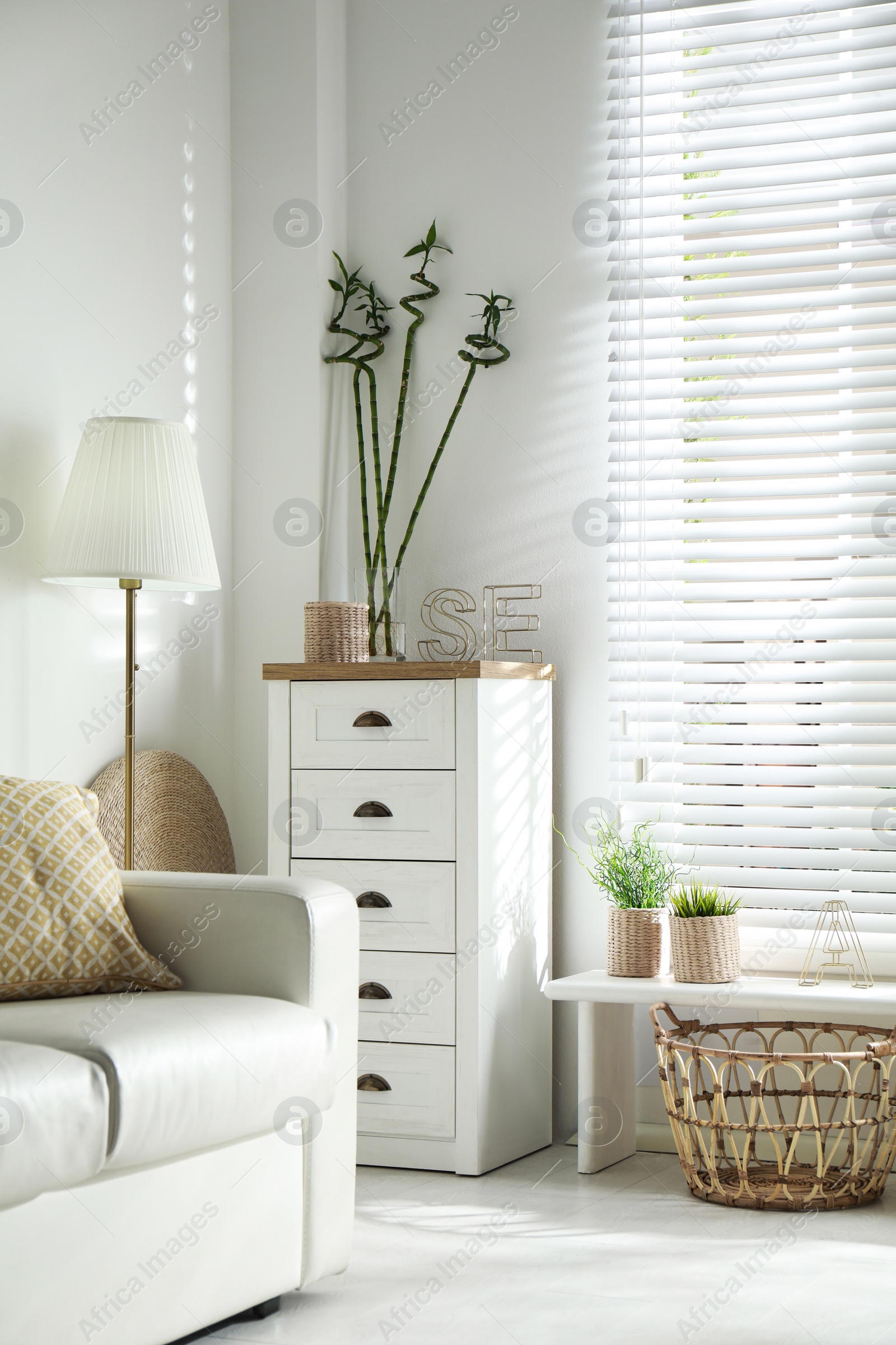 Photo of Beautiful tropical plants with green leaves in stylish living room interior