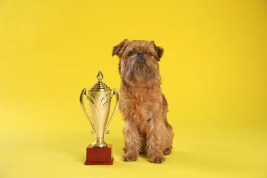 Photo of Cute Brussels Griffon dog with champion trophy on yellow background