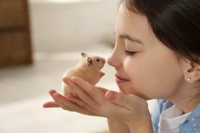 Photo of Little girl holding cute hamster at home, closeup