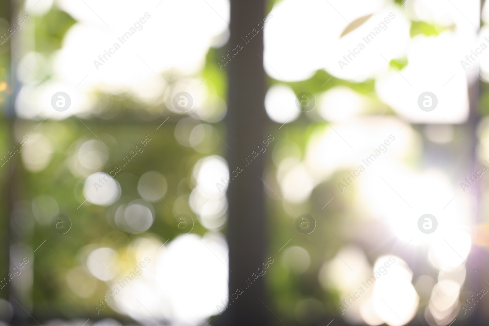 Photo of Blurred view through window on garden in morning