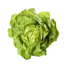 Photo of Fresh green butter lettuce head isolated on white, top view