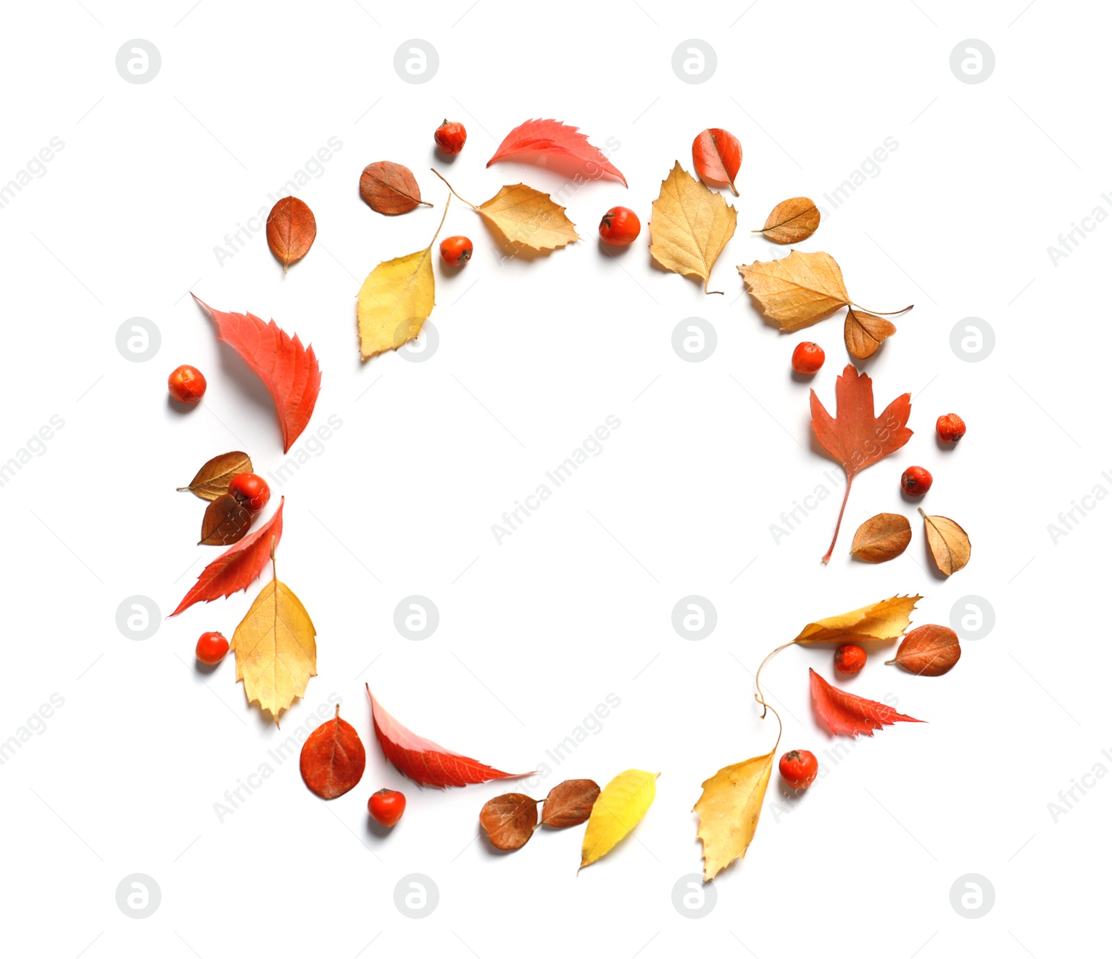 Photo of Flat lay composition with autumn leaves and space for text on white background