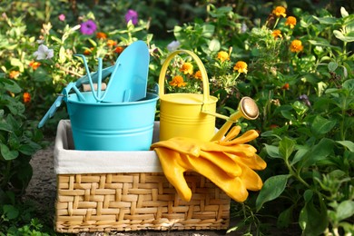 Photo of Basket with watering can, gardening tools and rubber gloves in garden